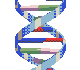 Vaterschaftstest Leipzig Sachsen Deutschland